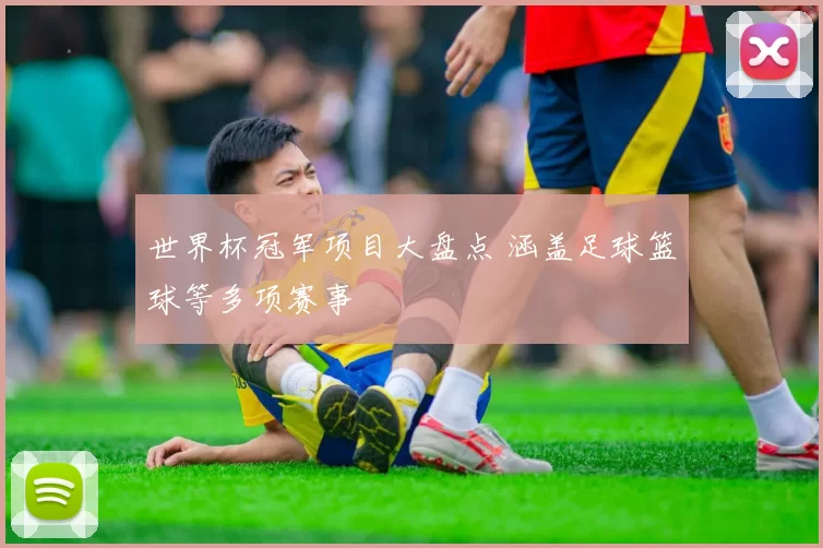 世界杯冠军项目大盘点 涵盖足球篮球等多项赛事