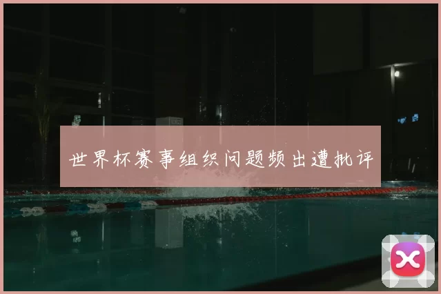 世界杯赛事组织问题频出遭批评