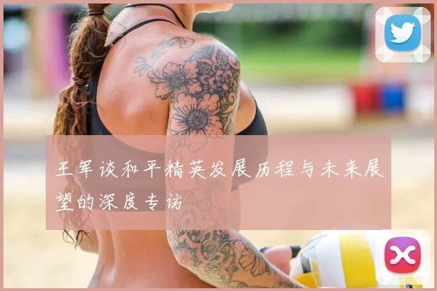 王军谈和平精英发展历程与未来展望的深度专访