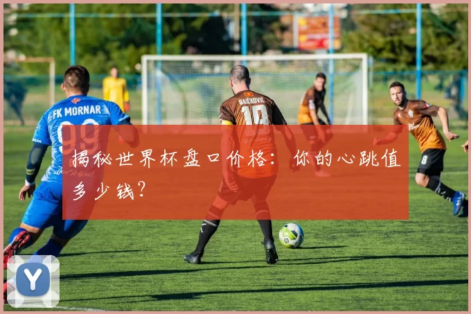 揭秘世界杯盘口价格:你的心跳值多少钱?
