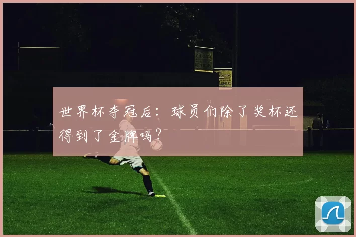 世界杯夺冠后:球员们除了奖杯还得到了金牌吗?