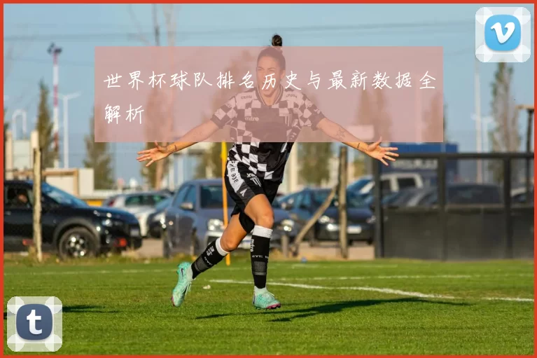 世界杯球队排名历史与最新数据全解析