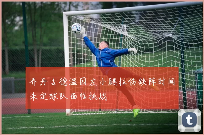 乔丹古德温因左小腿拉伤缺阵时间未定球队面临挑战