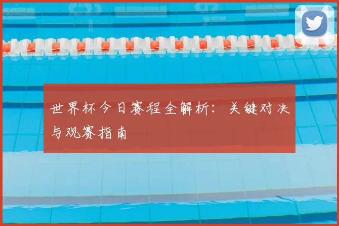 世界杯今日赛程全解析:关键对决与观赛指南