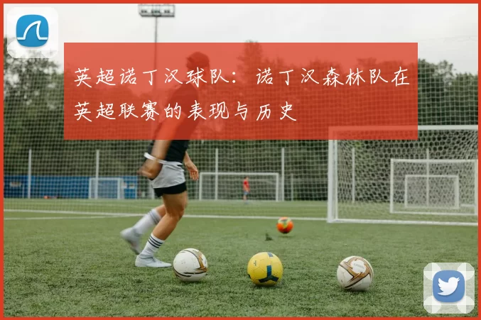 英超诺丁汉球队:诺丁汉森林队在英超联赛的表现与历史