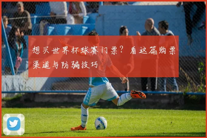 想买世界杯球赛门票？看这篇购票渠道与防骗技巧