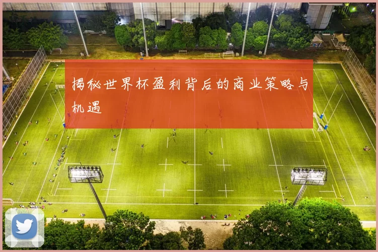 揭秘世界杯盈利背后的商业策略与机遇