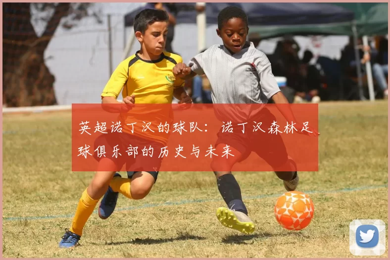 英超诺丁汉的球队:诺丁汉森林足球俱乐部的历史与未来