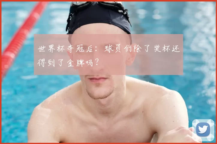 世界杯夺冠后:球员们除了奖杯还得到了金牌吗?